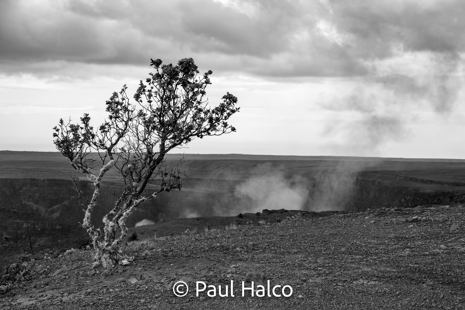 Paul Halco - Volcanoes NP-1